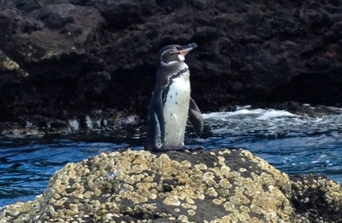 IMG_6493 - Version 2