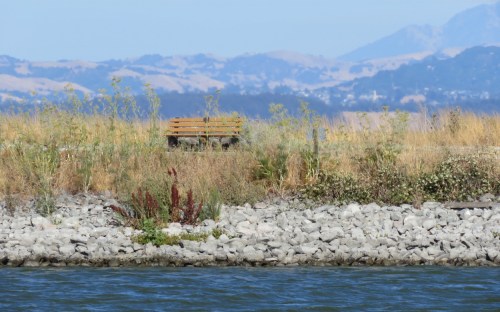 SOLOMON KAHN & JON BRILLIANT ~ BRINGERS OF JOY!